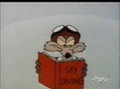 Road Runner & Wile E Coyote  - Hairied And Hurried 33/43