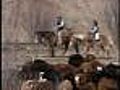 Explore Colorado’s Ranching Legacy
