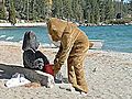 Groundhog and Shadow in Lake Tahoe, CA