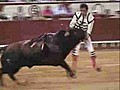Momento de la cornada del torero mexicano Arturo Macías