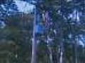 Utility Demands Patriotic Display Come Down