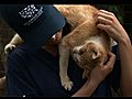 Animal Rescue Team &#8212; Cat Hoarding Case