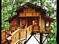 Grown-up Treehouses