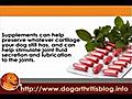 Other Dog Arthritis Alternative Supplements