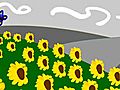 How To Grow Sunflowers