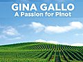 Passion for Pinot