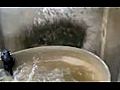 Cat Vs Water Barrel
