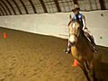 Jumping lesson on Horse