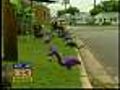 People Are Talking: Purple Flamingo