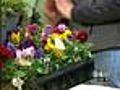 Get Gardening Tips From Luan Akin
