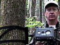 LIFE in the News: Ivory-Billed Woodpecker