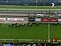 7News: Lion Tamer takes out Derby