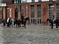 Ireland: Abandoned Horses on the Emerald Isle