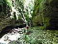 Balade dans le Canyon des Gueulards Vercors centre