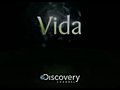 VIDA - DISCOVERY CHANNEL [HQ]