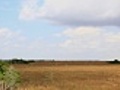 Everglades river of grass