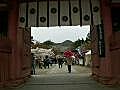 御室仁和寺の桜　序　－地獄の門バージョンー