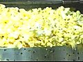 USA: Movie popcorn loaded with saturated fat