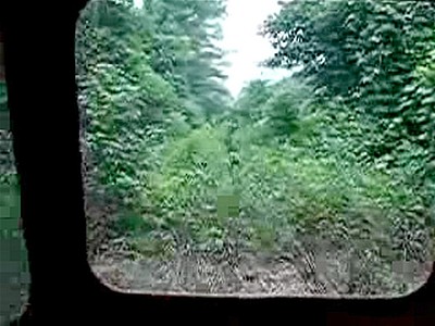 Overgrown Railroad