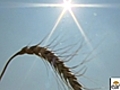 Hay shortage in Texas due to drought