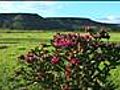 Black Mesa State Park