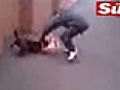 St Helens Pit Bull Owners Hold Dog Fights