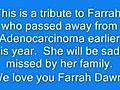 Farrah and Flash Memorial Tribute