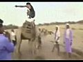 Camel Jumper
