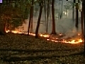 Brush fires sprouting up all over Massachusetts