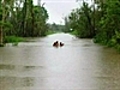 Floods hit cyclone-battered Cardwell