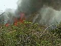 Wildfires grow in Everglades near Miami