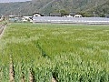 ただいま雨宮―東屋代間①