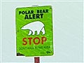 The Animal Extractors - Polar Bears in Peril