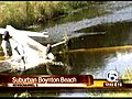 FAA,  NTSB investigate plane crash near Boynton Beach (NewsChannel 5)