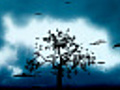 Growing Tree Timelapse With Scary Clouds