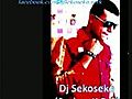 Dj Sekoseko (Serkan KBK) & T.O.B - Shake It (Remix