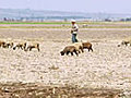 México carece de plan agropecuario contra cambio climático