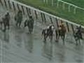 Trappe Shot wins muddy Truth North Handicap