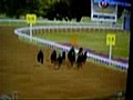 Horse Racing Fantasy