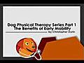 Dog Physical Therapy of Early Mobility