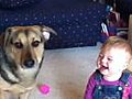 Baby Laughs At Bubble-Eating Dog