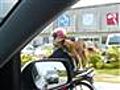 Amazing! Dog back-riding a Motorbike!