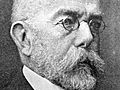 Robert Koch - Triumphe und Irrtümer