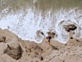 Woman on beach overhead shot