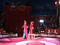 Bizarre Circus Act