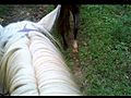 Juniors big boy trail ride on Sunday clip 1 of 5
