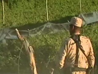Mexican Army Discovers Largest Pot Farm Ever