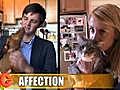 Dogs vs. Cats: The Affection Test