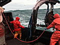 Deadliest Catch Greenhorns: Breaking Point