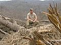 Tornado Timber Turned Into Treasures